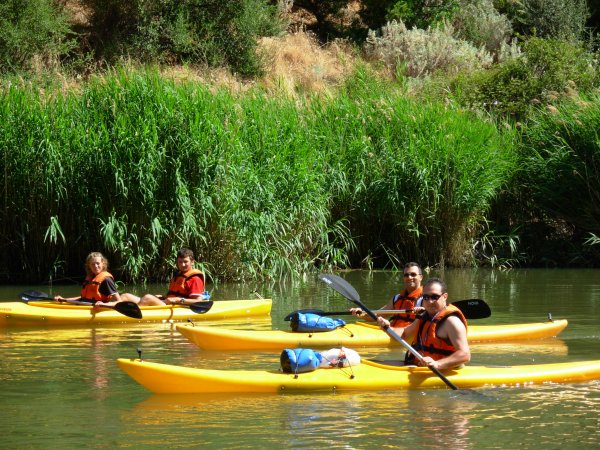 Kayak escursions: